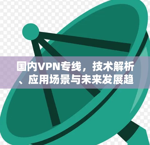国内VPN专线，技术解析、应用场景与未来发展趋势