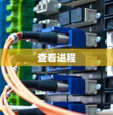 查看进程 查看进程