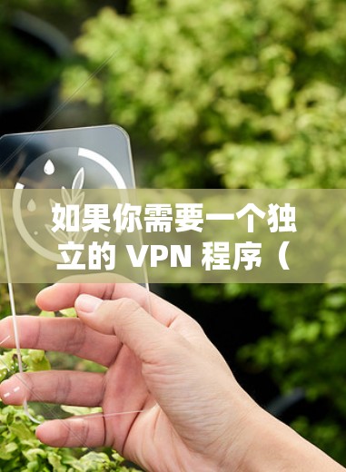 如果你需要一个独立的 VPN 程序(而非浏览器扩展或内置功能)以下是常见的选择和注意事项 如果你需要一个独立的 VPN 程序(而非浏览器扩展或内置功能)以下是常见的选择和注意事项