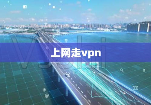 上网走vpn 上网走vpn