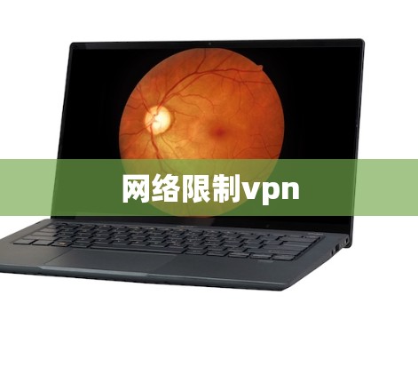 网络限制vpn 网络限制vpn